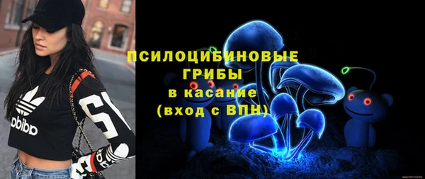 Альфа ПВП Богородск