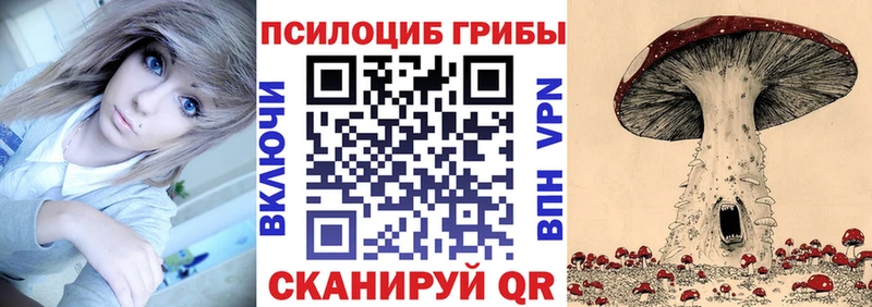 Псилоцибиновые грибы Psilocybe  Купить  Среднеколымск 